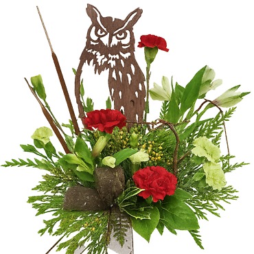 Merry Christmas Owl ways