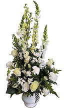 All White Sympathy Sentiments