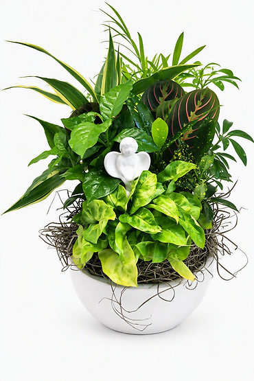 Angel Planter