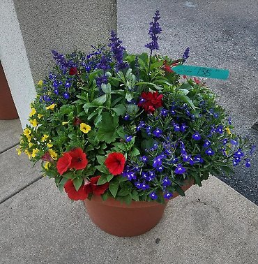 Sun Patio Pot 14\"