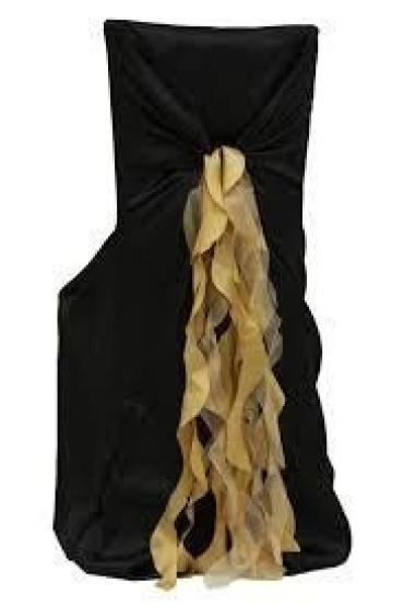 Champagne Curly Willow Chair Sash