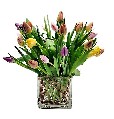 Glass Cube Of 25 Tulips