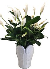 Wings Of Peace Planter