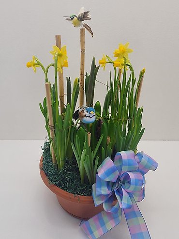 Beautiful Bulb Garden