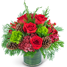 Festive Cranberry