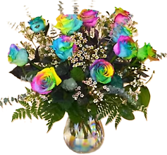 Deluxe Dozen Rainbow