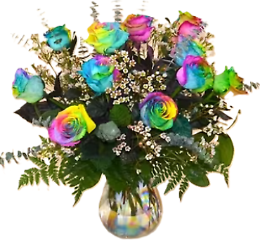 Deluxe Dozen Rainbow