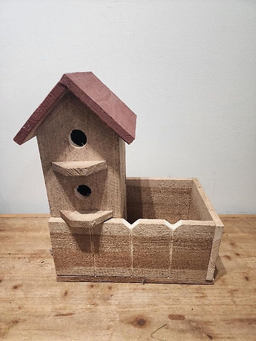 Poinsettia in Birdhouse