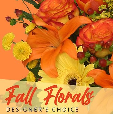 Fall Designers Choice