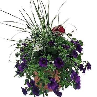 Sun Patio Pot 10\"