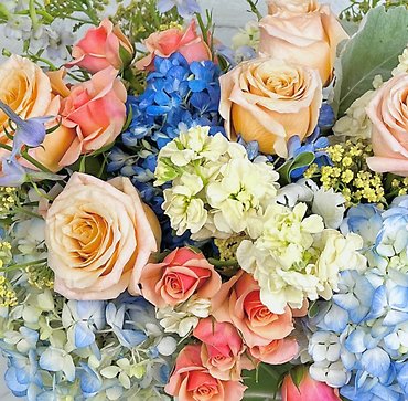 *Designer\'s Choice Pastels