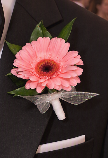 Pink Gerbera Boutonniere